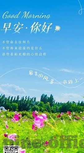 结束足球比分-告别比分焦虑,足球迷如何跳出数据漩涡,找回纯粹观赛乐趣