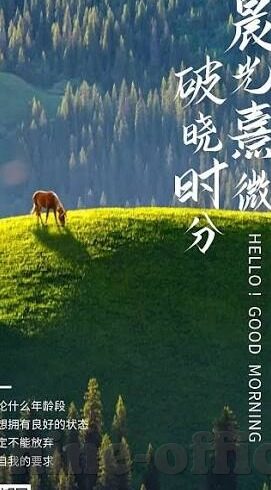 足球比分win-足球比分WIN，赛场风云背后的荣耀密码