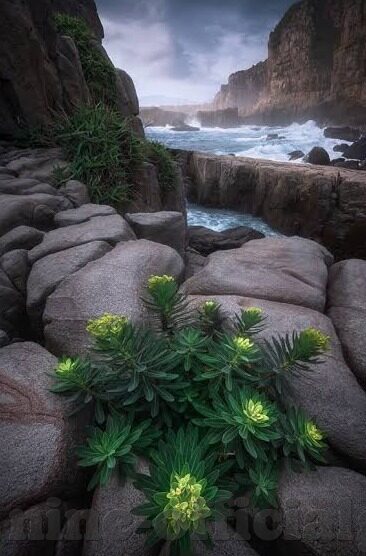 足球直播和比分app-足球狂欢的数字伴侣，足球直播与比分APP的深度解析